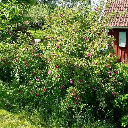 Langesater B&B Lerdala 外观 照片
