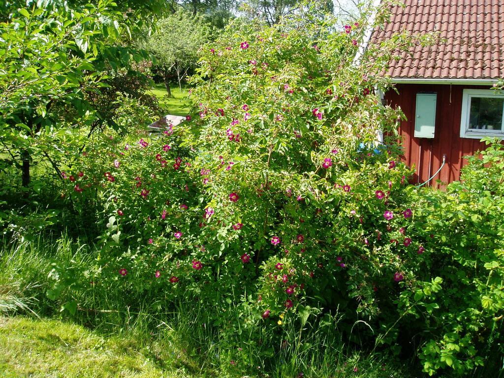 Langesater B&B Lerdala 外观 照片